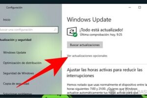 Cómo actualizar los drivers de la PC de forma segura y manual