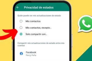 Cómo configurar la privacidad de mis estados de WhatsApp