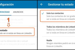 Cómo configurar la privacidad en LinkedIn para evitar estafas
