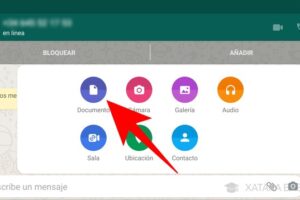 Cómo enviar fotos y videos sin perder calidad por WhatsApp