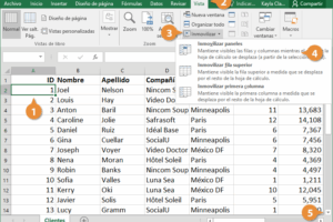 Cómo inmovilizar filas y columnas en Excel para organizar datos