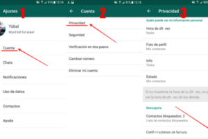 Cómo leer mensajes de WhatsApp sin que salga el visto azul