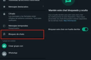 Cómo proteger mi privacidad en grupos de WhatsApp