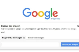 Cómo usar la búsqueda inversa de imágenes para verificar fotos