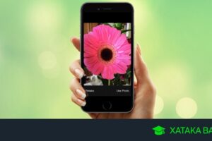 Las mejores apps para identificar plantas y flores con la cámara