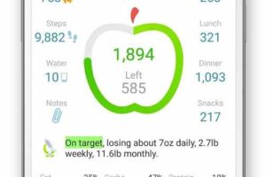 Las mejores apps para seguir dietas y contar calorías