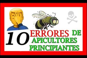 Los 10 Errores Más Comunes al Empezar en Apicultura y Cómo Evitarlos