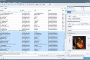 Los mejores programas para editar metadatos de música MP3