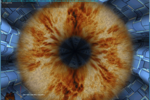 Programas para probar el rendimiento de la tarjeta gráfica