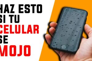 Qué hacer si el celular se cayó al agua trucos que funcionan