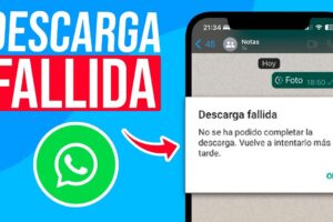 Solución cuando no puedo descargar fotos de WhatsApp