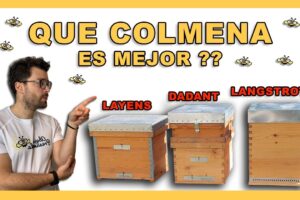 Tipos de Colmenas (Langstroth, Dadant, Layens): Ventajas, Desventajas y Cuál Elegir